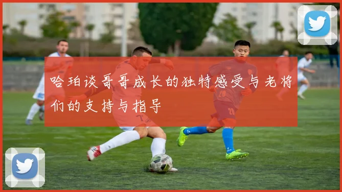 哈珀谈哥哥成长的独特感受与老将们的支持与指导