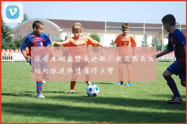 埃奇库姆盛赞麦迪逊广场花园氛围纽约球迷热情值得点赞